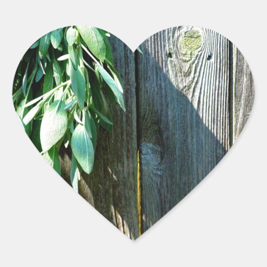 Sage Barn-wood, vers gesneden Hart Sticker (Voorkant)