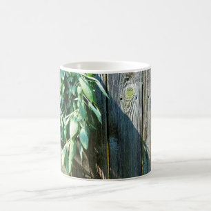 Sage Barn-wood, vers gesneden Koffiemok