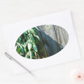 Sage Barn-wood, vers gesneden Ovale Sticker (Envelop)