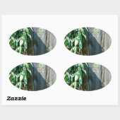 Sage Barn-wood, vers gesneden Ovale Sticker (Vel)