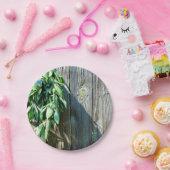 Sage Barn-wood, vers gesneden Papieren Bordje (Feest)