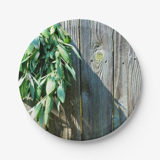 Sage Barn-wood, vers gesneden Papieren Bordje (Voorkant)