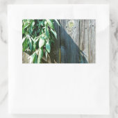 Sage Barn-wood, vers gesneden Rechthoekige Sticker (Tas)