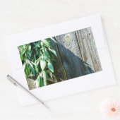 Sage Barn-wood, vers gesneden Rechthoekige Sticker (Envelop)