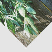 Sage Barn-wood, vers gesneden Tissuepapier (Detail)