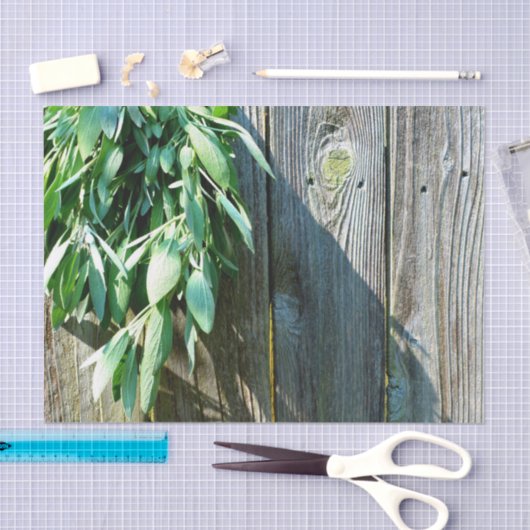 Sage Barn-wood, vers gesneden Tissuepapier (Craft)