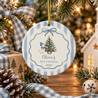 Sage Blue Silly Goose Baby Eerste Kerstmis Keramisch Ornament