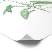 Sage Botanische Bloem Poster (Hoek)