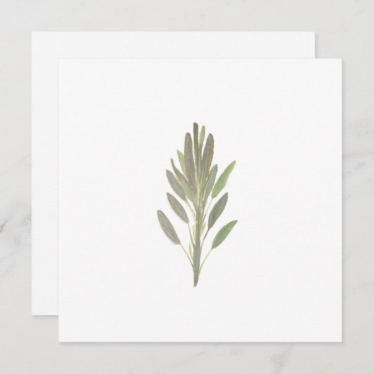 Sage botanische plant greenercard (Voorkant / Achterkant)