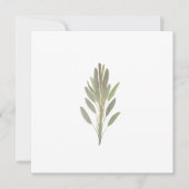 Sage botanische plant greenercard (Voorkant)