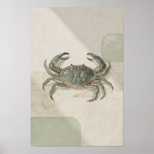 Sage en Crème Blauwe Krab Kust Wandkunst Poster