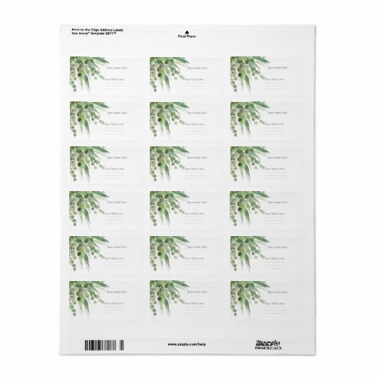 Sage Eucalyptus ADRESETIKETTEN Etiket (Full Sheet)