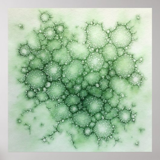 Sage Fenestrated Lichen Poster (Voorkant)