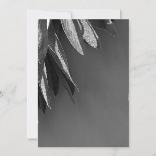 Sage Grayscale, vers gesneden (Voorkant)