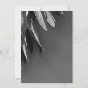 Sage Grayscale, vers gesneden