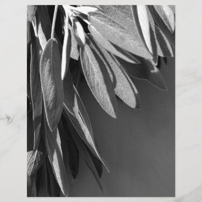 Sage Grayscale, vers gesneden (Voorkant)