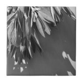 Sage Grayscale, vers gesneden Tegeltje (Voorkant)