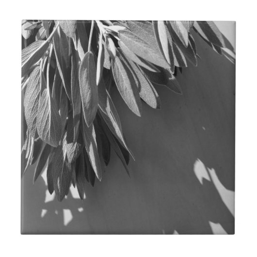 Sage Grayscale, vers gesneden Tegeltje (Voorkant)