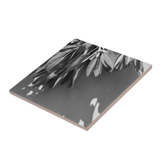 Sage Grayscale, vers gesneden Tegeltje (Zijkant)