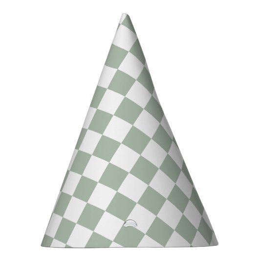 Sage Green and White Checkered  Feesthoedjes (Rechts)