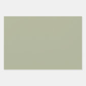 Sage Green Blush grillig gebladerte patroon Inpakpapier Vel (Voorkant 3)