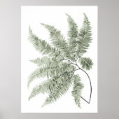 Sage Green Decor Fern Leaf Print nr. 5 (Voorkant)
