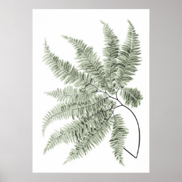 Sage Green Decor Fern Leaf Print nr. 5