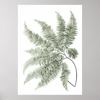 Sage Green Decor Fern Leaf Print nr. 5
