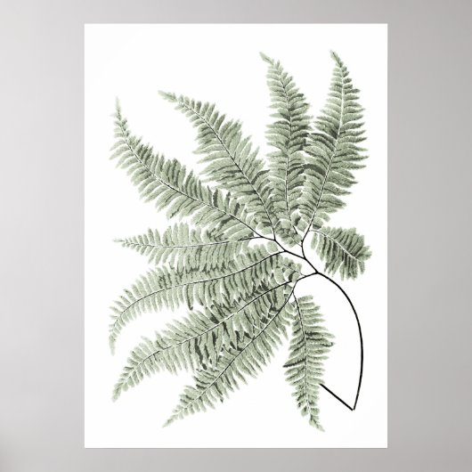 Sage Green Decor Fern Leaf Print nr. 5 (Voorkant)
