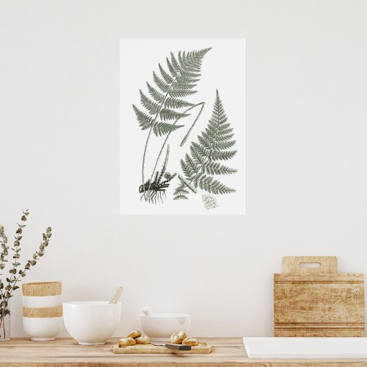 Sage Green Fern print nr. 10 Botanische Wall Art (Keuken)
