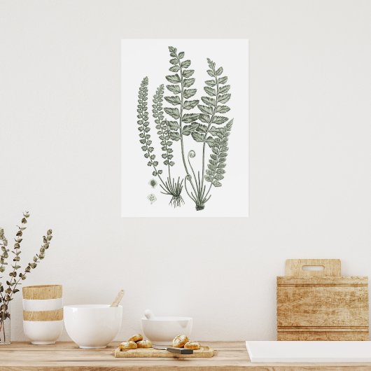 Sage Green Fern Print nr. 12 Botanical Wall Decor (Keuken)