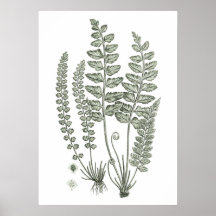 Sage Green Fern Print nr. 12 Botanical Wall Decor