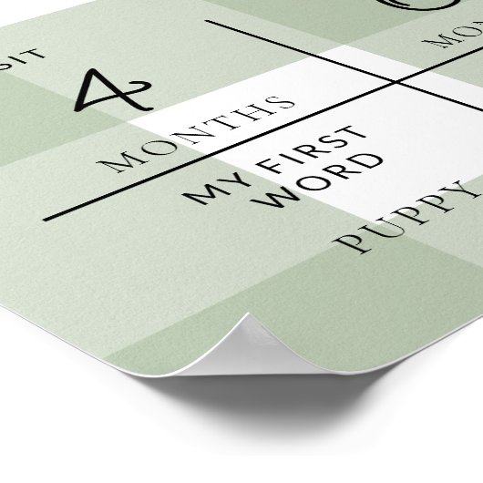 Sage Green Gingham eerste verjaardag foto mijlpaal Poster (Hoek)