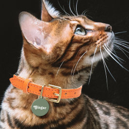 Sage Green Huisdierpenning