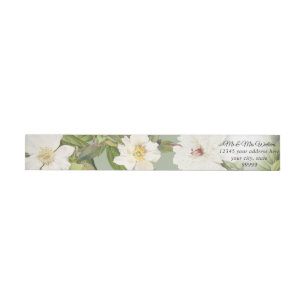 Sage Green in White  Botanical Floral Peony