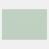 Sage Green Pagoda Inpakpapier Vel (Voorkant 3)