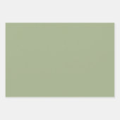Sage Green Plain Solid Color Inpakpapier Vel (Voorkant 2)