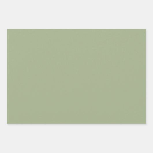 Sage Green Plain Solid Color Inpakpapier Vel (Voorkant 2)