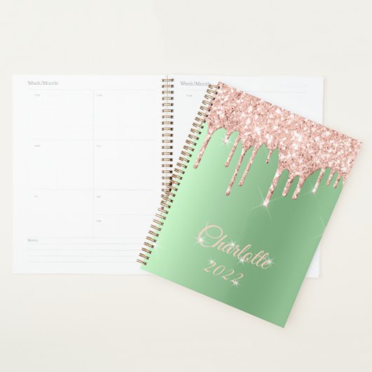 Sage Green Roos Gold Drip Glitter Sparkle Monogram Planner (Display)