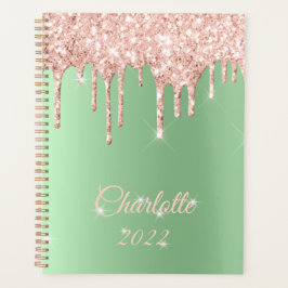 Sage Green Roos Gold Drip Glitter Sparkle Monogram Planner