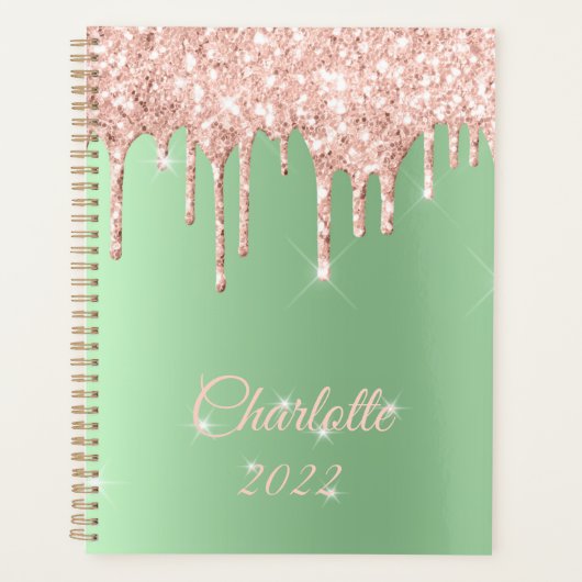 Sage Green Roos Gold Drip Glitter Sparkle Monogram Planner (Voorkant)