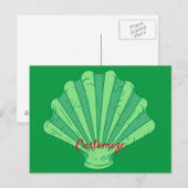Sage Green Scallop Shell Thunder_Cove Briefkaart (Voorkant / Achterkant)