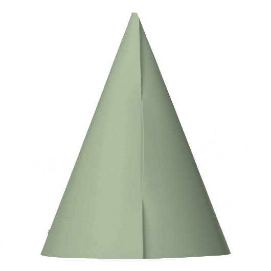 Sage Green Solid Color Party Pet Feesthoedjes (Achterkant)