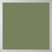 Sage Green Solid Color Poster (Voorkant)