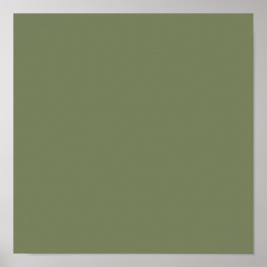 Sage Green Solid Color Poster (Voorkant)