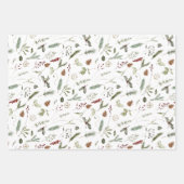 Sage Groene Kerstmis Moderne Minimale Botanische Inpakpapier Vel (Voorkant 2)