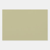 Sage Groene Stevige Kleur | Klassiek | Elegant Inpakpapier Vel (Voorkant 2)