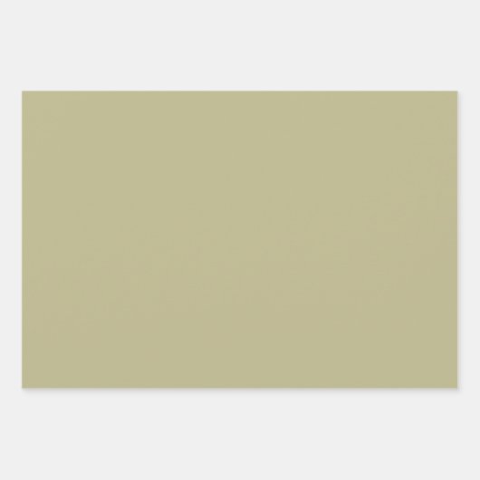 Sage Groene Stevige Kleur | Klassiek | Elegant Inpakpapier Vel (Voorkant 2)