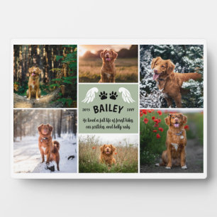 Sage Groene Vleugels Hond Poot Herdenkingsfoto Col Fotoplaat