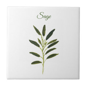 Sage Herb Greenery Kitchen Culinaire Groene Rustic Tegeltje